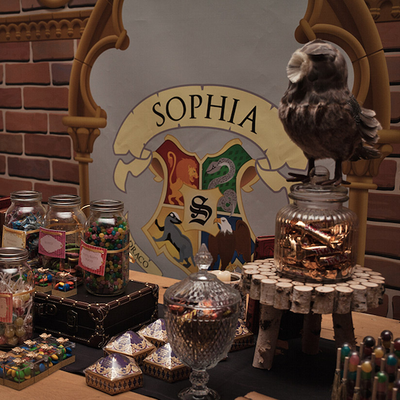 harry potter party